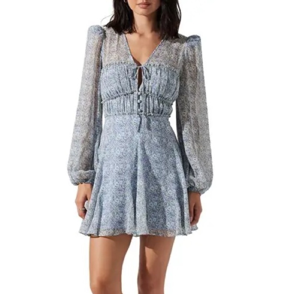 NWT Astr the Label Dianthus long sleeved mini dress size medium